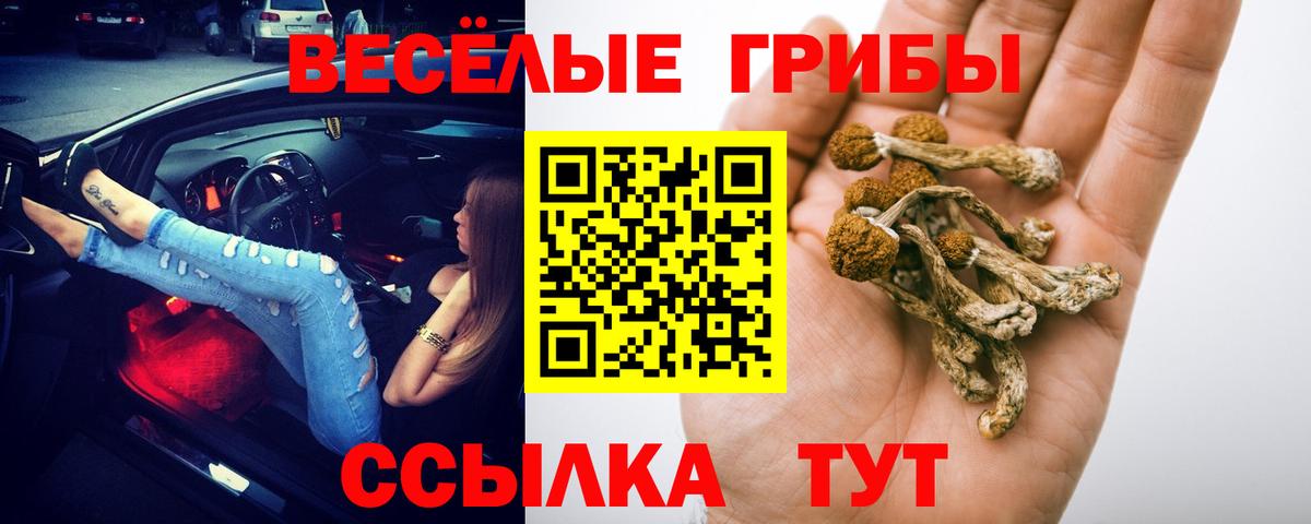 Галлюциногенные грибы мухоморы Радужный